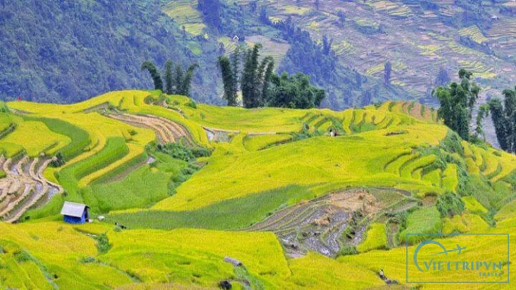 A Day For Trekking In Sapa image 2