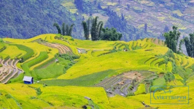 A Day For Trekking In Sapa image 2