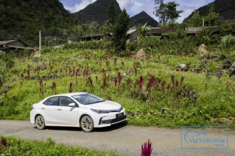 Sapa - Bac Ha Private Car transfer image 1