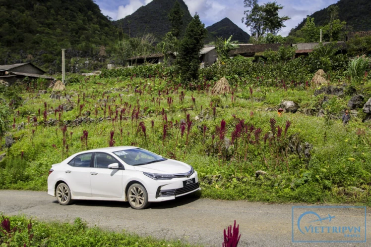 Sapa to Hanoi city / Airport by private car image 0