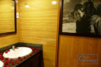 Chapa express Train Lao Cai to Hanoi image 1